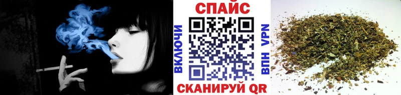 OMG сайт  Дубна  Бутират буратино 