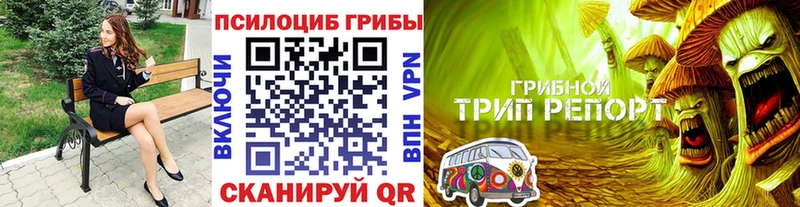 Псилоцибиновые грибы Magic Shrooms  Дубна 