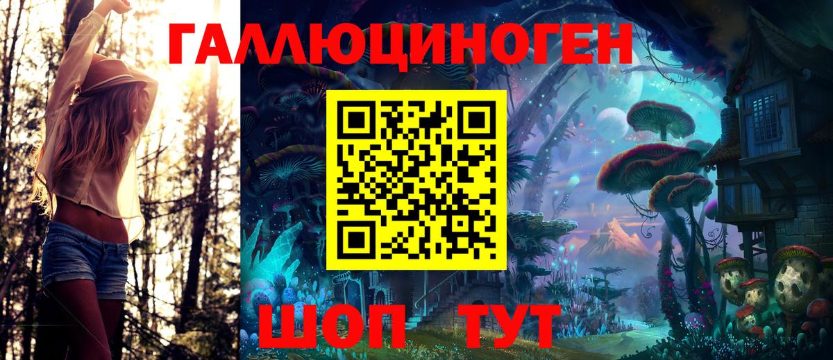 Дубна  Псилоцибиновые грибы мухоморы  Вход с VPN 