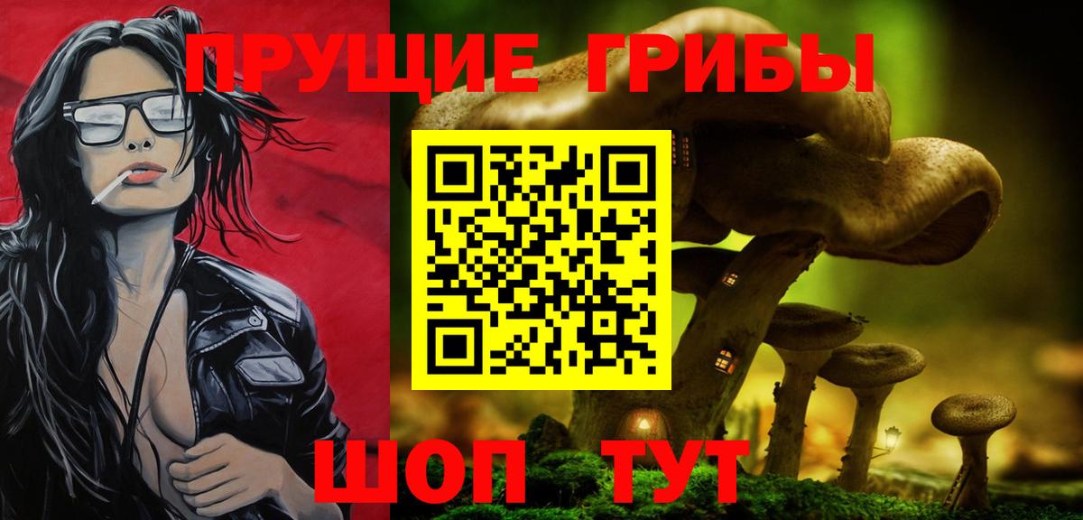 Псилоцибиновые грибы прущие грибы Дубна