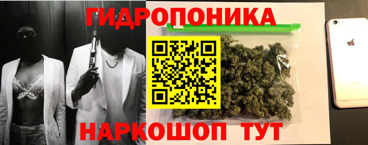 Бошки марихуана Ganja  Дубна  Канабис ГИДРОПОН  Каннабис план 